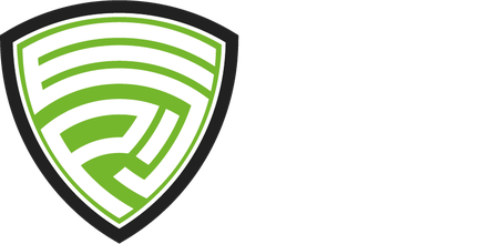 Spiel Sports Consulting