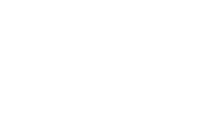 Spiel Sports Consulting
